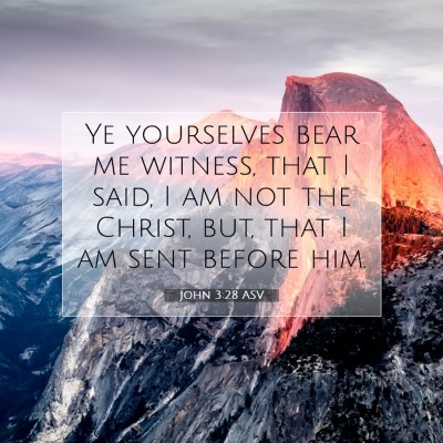 Picture 07 - John 3:28 ASV - Ye yourselves bear me witness, that I said, I am - Bible Verse Picture