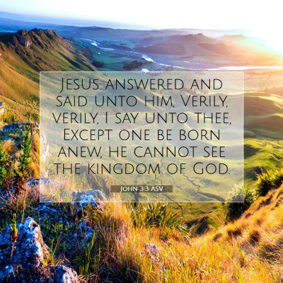 Picture 07 - John 3:3 ASV - Jesus answered and said unto him, Verily, verily, - Bible Verse Picture