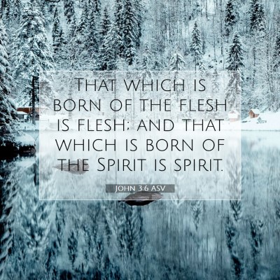 Picture 07 - John 3:6 ASV - That which is born of the flesh is flesh; and - Bible Verse Picture