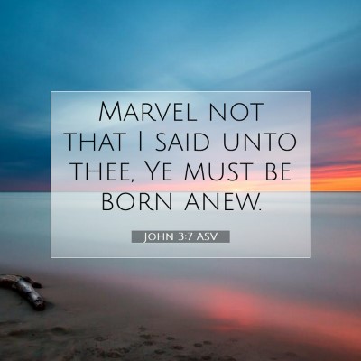 Picture 07 - John 3:7 ASV - Marvel not that I said unto thee, Ye must be born - Bible Verse Picture