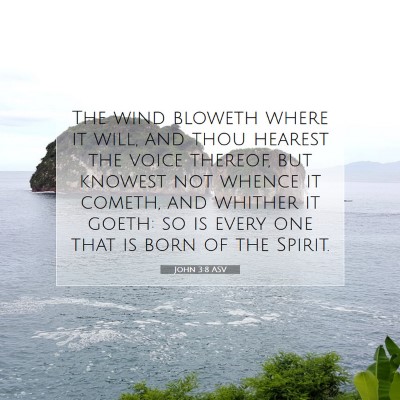Picture 07 - John 3:8 ASV - The wind bloweth where it will, and thou hearest - Bible Verse Picture