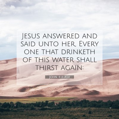 Picture 07 - John 4:13 ASV - Jesus answered and said unto her, Every one that - Bible Verse Picture