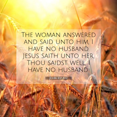 Picture 07 - John 4:17 ASV - The woman answered and said unto him, I have no - Bible Verse Picture