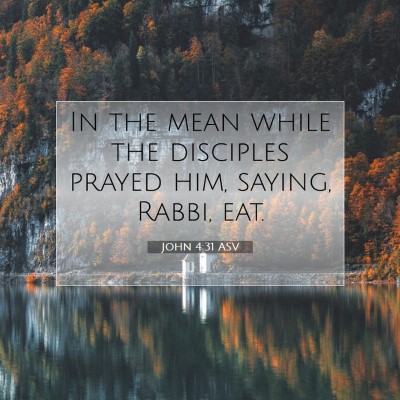 Picture 07 - John 4:31 ASV - In the mean while the disciples prayed him, - Bible Verse Picture