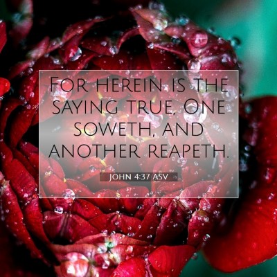 Picture 07 - John 4:37 ASV - For herein is the saying true, One soweth, and - Bible Verse Picture