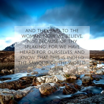 Picture 07 - John 4:42 ASV - and they said to the woman, Now we believe, not - Bible Verse Picture