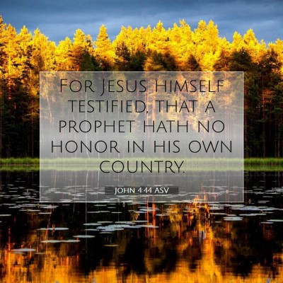 Picture 07 - John 4:44 ASV - For Jesus himself testified, that a prophet hath - Bible Verse Picture