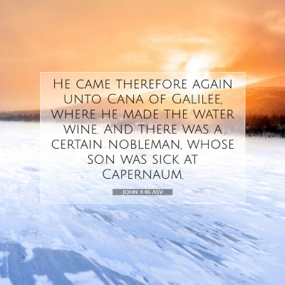 Picture 07 - John 4:46 ASV - He came therefore again unto Cana of Galilee, - Bible Verse Picture