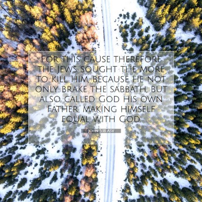 Picture 07 - John 5:18 ASV - For this cause therefore the Jews sought the more - Bible Verse Picture