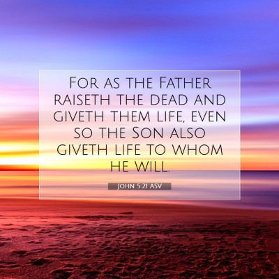 Picture 07 - John 5:21 ASV - For as the Father raiseth the dead and giveth - Bible Verse Picture