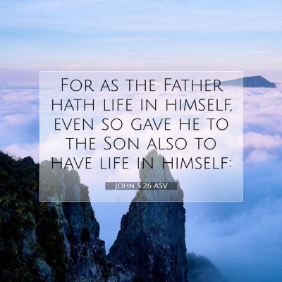 Picture 07 - John 5:26 ASV - For as the Father hath life in himself, even so - Bible Verse Picture