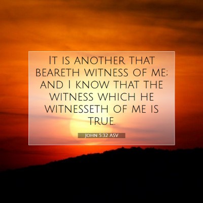 Picture 07 - John 5:32 ASV - It is another that beareth witness of me; and I - Bible Verse Picture