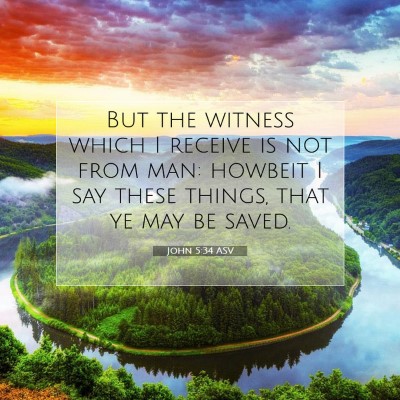 Picture 07 - John 5:34 ASV - But the witness which I receive is not from man: - Bible Verse Picture