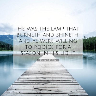 Picture 07 - John 5:35 ASV - He was the lamp that burneth and shineth; and ye - Bible Verse Picture