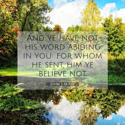 Picture 07 - John 5:38 ASV - And ye have not his word abiding in you: for whom - Bible Verse Picture