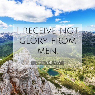 Picture 07 - John 5:41 ASV - I receive not glory from - Bible Verse Picture