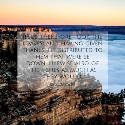 Picture 07 - John 6:11 ASV - Jesus therefore took the loaves; and having given - Bible Verse Picture