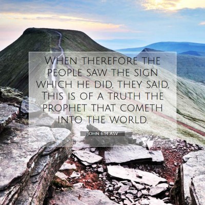Picture 07 - John 6:14 ASV - When therefore the people saw the sign which he - Bible Verse Picture