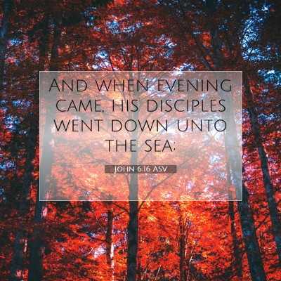 Picture 07 - John 6:16 ASV - And when evening came, his disciples went down - Bible Verse Picture