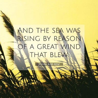 Picture 07 - John 6:18 ASV - And the sea was rising by reason of a great wind - Bible Verse Picture