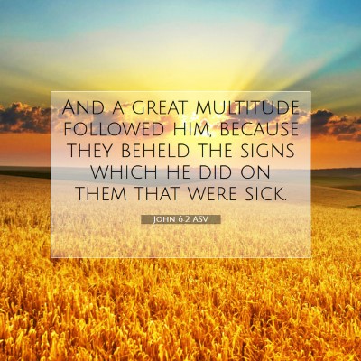 Picture 07 - John 6:2 ASV - And a great multitude followed him, because they - Bible Verse Picture