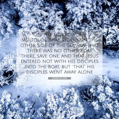 Picture 07 - John 6:22 ASV - On the morrow the multitude that stood on the - Bible Verse Picture