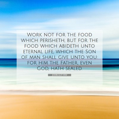 Picture 07 - John 6:27 ASV - Work not for the food which perisheth, but for - Bible Verse Picture