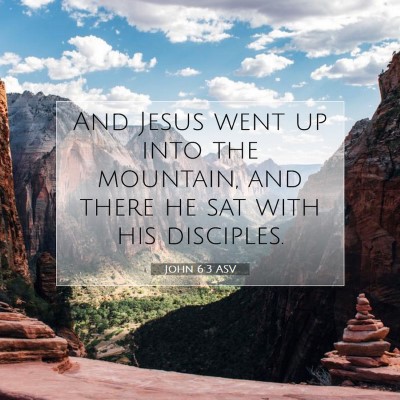 Picture 07 - John 6:3 ASV - And Jesus went up into the mountain, and there he - Bible Verse Picture