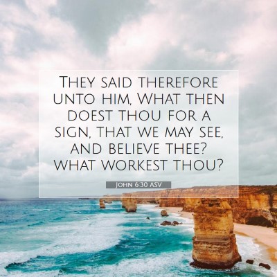 Picture 07 - John 6:30 ASV - They said therefore unto him, What then doest - Bible Verse Picture