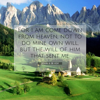 Picture 07 - John 6:38 ASV - For I am come down from heaven, not to do mine - Bible Verse Picture
