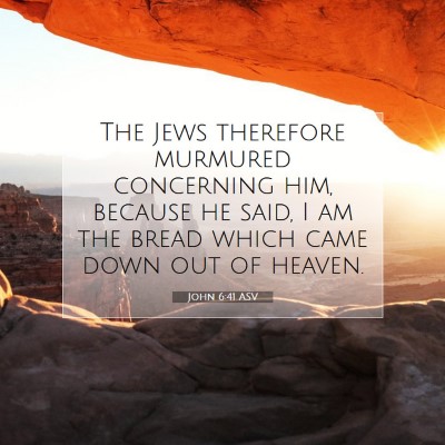 Picture 07 - John 6:41 ASV - The Jews therefore murmured concerning him, - Bible Verse Picture