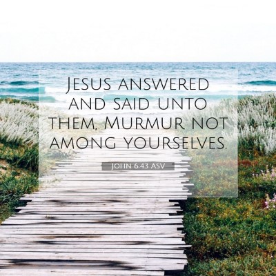 Picture 07 - John 6:43 ASV - Jesus answered and said unto them, Murmur not - Bible Verse Picture