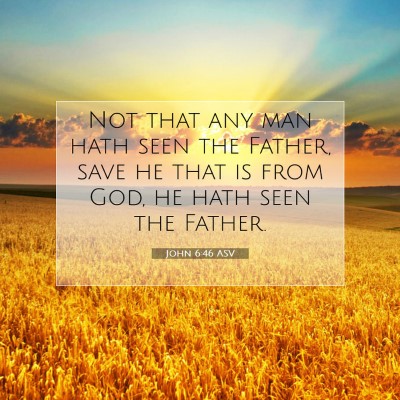 Picture 07 - John 6:46 ASV - Not that any man hath seen the Father, save he - Bible Verse Picture