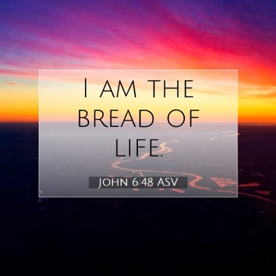Picture 07 - John 6:48 ASV - I am the bread of - Bible Verse Picture