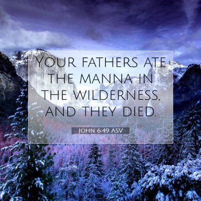 Picture 07 - John 6:49 ASV - Your fathers ate the manna in the wilderness, and - Bible Verse Picture