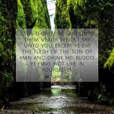 Picture 07 - John 6:53 ASV - Jesus therefore said unto them, Verily, verily, I - Bible Verse Picture