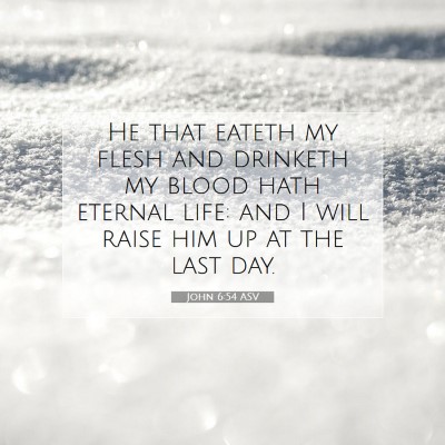 Picture 07 - John 6:54 ASV - He that eateth my flesh and drinketh my blood - Bible Verse Picture