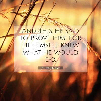 Picture 07 - John 6:6 ASV - And this he said to prove him: for he himself - Bible Verse Picture