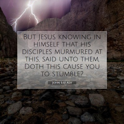 Picture 07 - John 6:61 ASV - But Jesus knowing in himself that his disciples - Bible Verse Picture