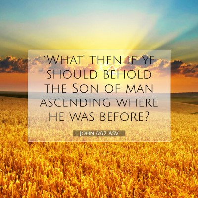Picture 07 - John 6:62 ASV - `What' then if ye should behold the Son of man - Bible Verse Picture