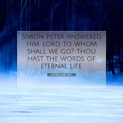 Picture 07 - John 6:68 ASV - Simon Peter answered him, Lord, to whom shall we - Bible Verse Picture