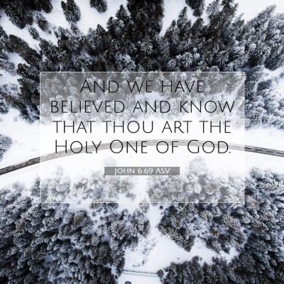 Picture 07 - John 6:69 ASV - And we have believed and know that thou art the - Bible Verse Picture
