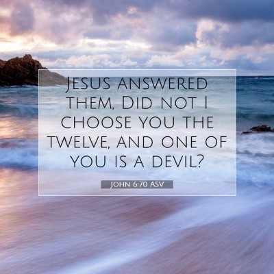 Picture 07 - John 6:70 ASV - Jesus answered them, Did not I choose you the - Bible Verse Picture