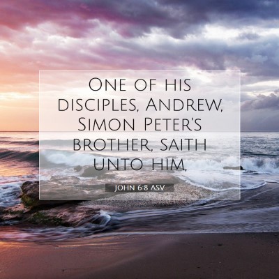 Picture 07 - John 6:8 ASV - One of his disciples, Andrew, Simon Peter's - Bible Verse Picture