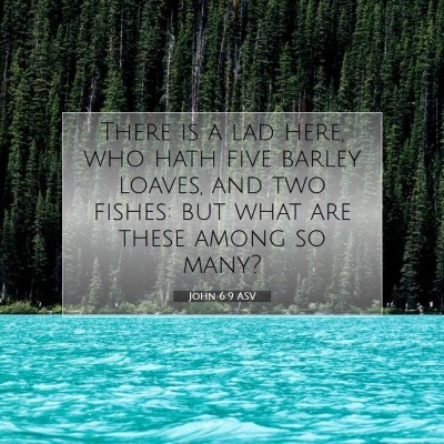 Picture 07 - John 6:9 ASV - There is a lad here, who hath five barley loaves, - Bible Verse Picture