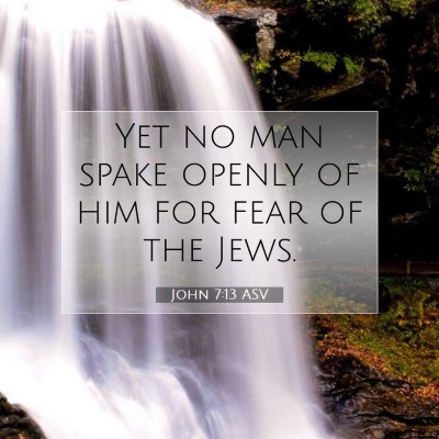 Picture 07 - John 7:13 ASV - Yet no man spake openly of him for fear of the - Bible Verse Picture