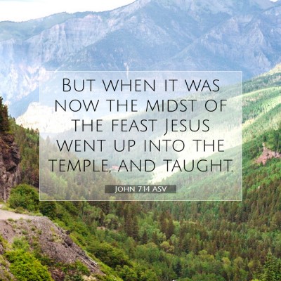 Picture 07 - John 7:14 ASV - But when it was now the midst of the feast Jesus - Bible Verse Picture
