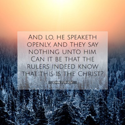Picture 07 - John 7:26 ASV - And lo, he speaketh openly, and they say nothing - Bible Verse Picture