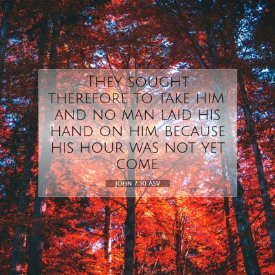 Picture 07 - John 7:30 ASV - They sought therefore to take him: and no man - Bible Verse Picture