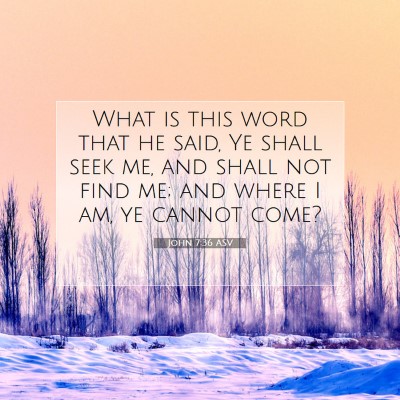 Picture 07 - John 7:36 ASV - What is this word that he said, Ye shall seek me, - Bible Verse Picture